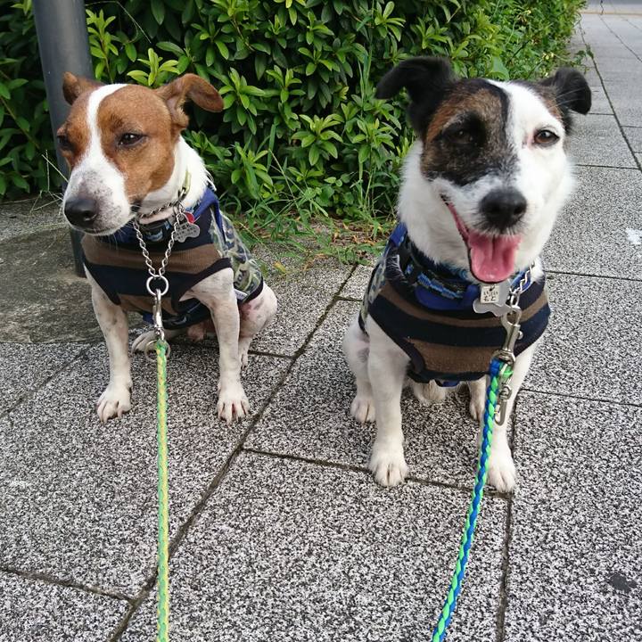 9496351e db4e 41e7 9e54 a2c8acb84ae7 1596406971315