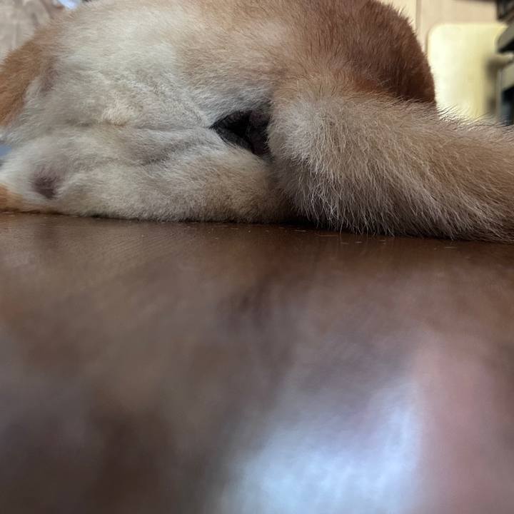 94964e3f 629c 4edc 8ed1 38b82437ae40 1726105984697