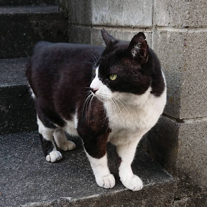 94969aba eead 4834 8935 9d57313233be 1638254723764