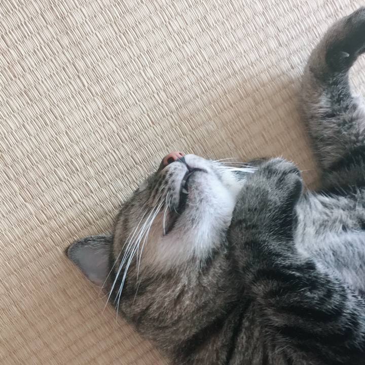 9496a479 2bc9 4772 a19d d498d7196cf4 1536841570581