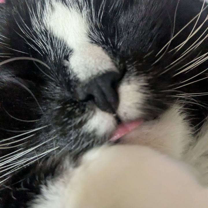 9496a648 a9ce 473f bafc ab04362007ed 1768392282540