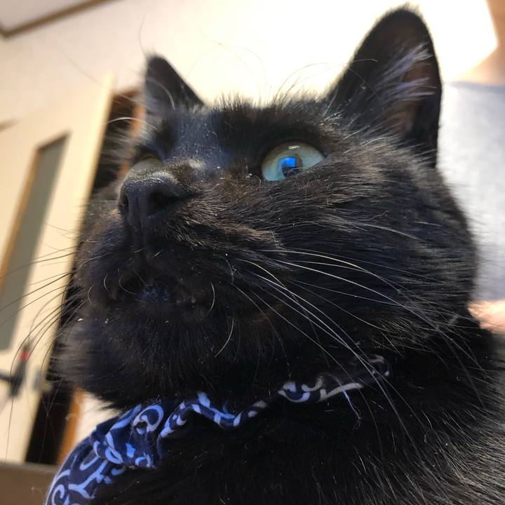 9496ce5a db4d 4a00 bfd5 d41e31af2b3e 1576276348210