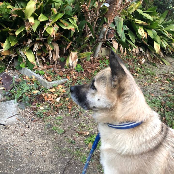 9496f456 4496 41bd a9bf 452f7a0a1eb8 1577275247193