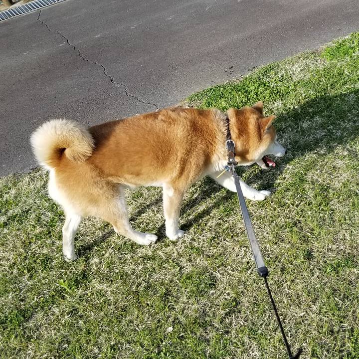 94973004 a5d0 49f5 b0b4 7309b3fe9213 1620119262266