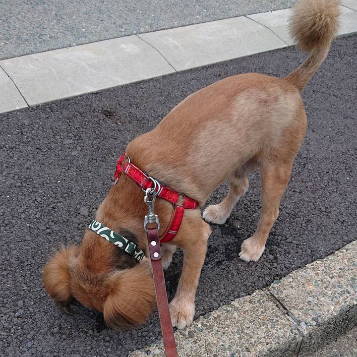 94973a45 f191 4097 a7dc d2ecbbc4d2ca 1564047509103