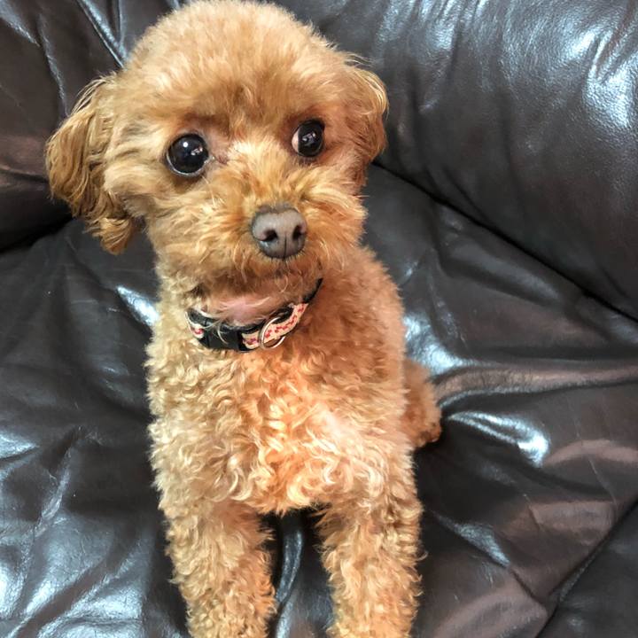 94975244 74e6 4e12 9fde ba7b797a1ae7 1551964110642