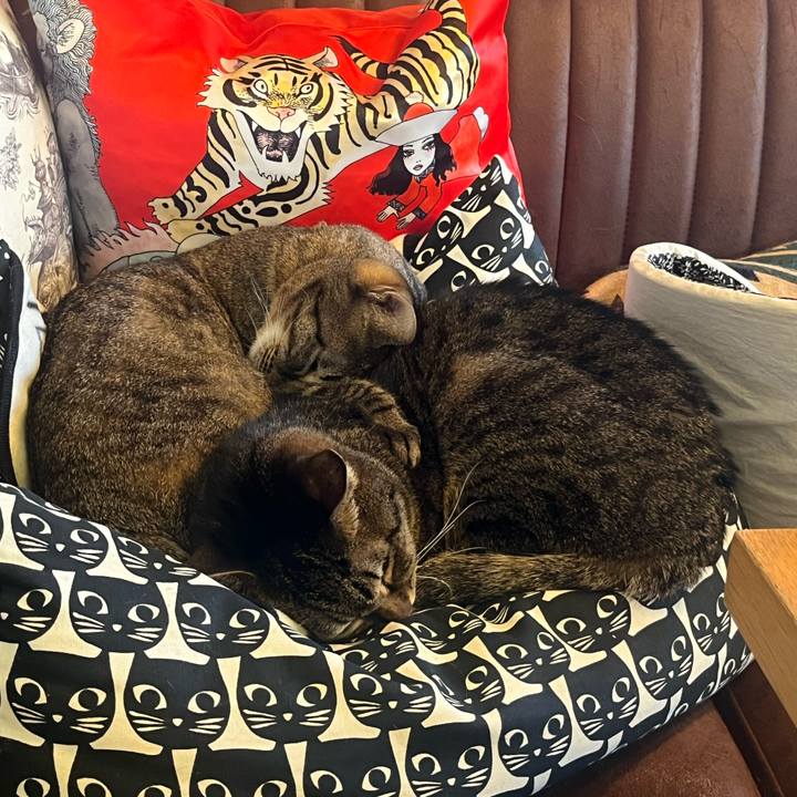 94978651 b615 4288 bc17 6b2af9b4425a 1765507789164