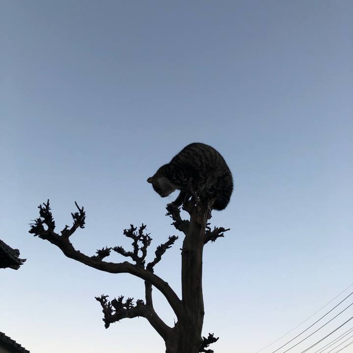 9497a43e 4ff1 4a52 807c d7c6b3d8bb4c 1546552770106