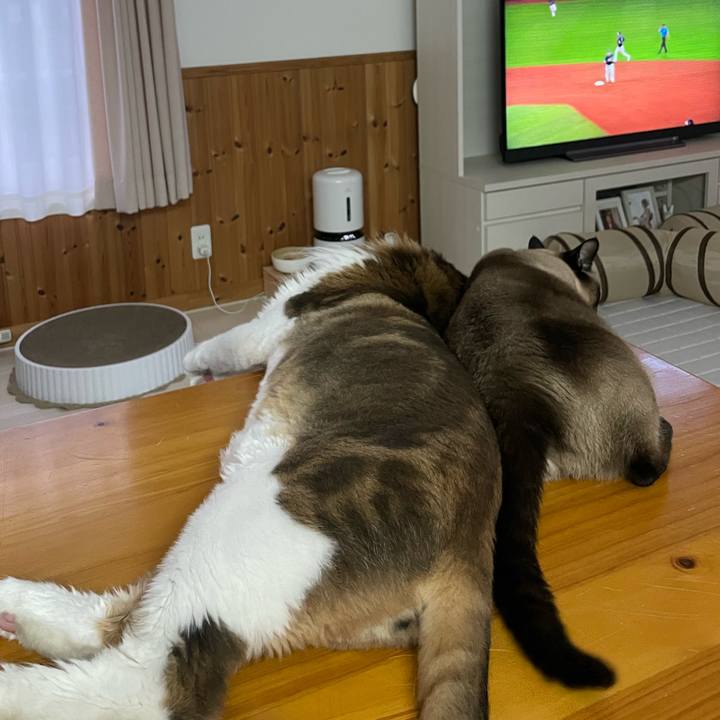 9497d3eb 67a8 4849 81db 3b67f0db07d0 1753910115798