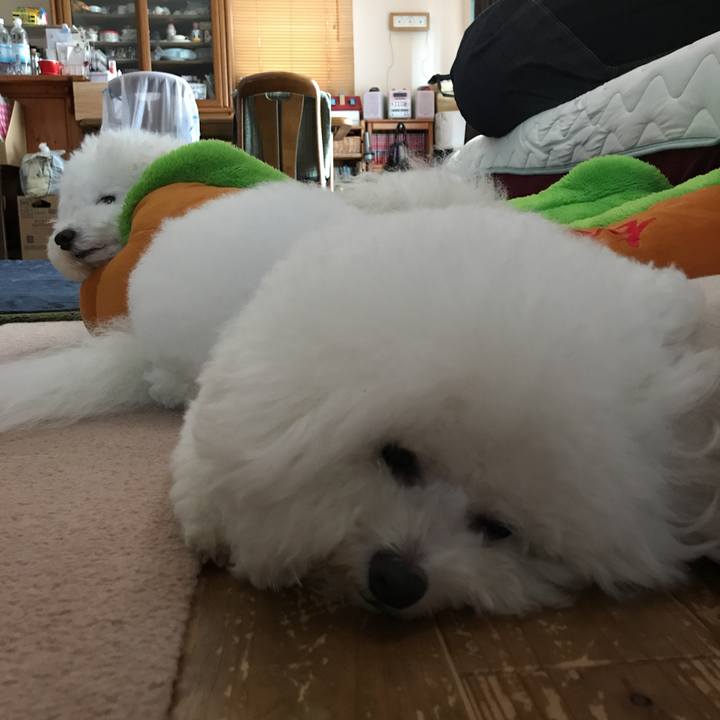 9497d47d 68c4 4f24 b6df 53ea9d1fd007 1532757572470