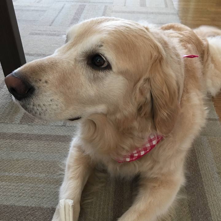 9497e792 d873 4e2c a3f9 e70cc0d2cf15 1560031742352