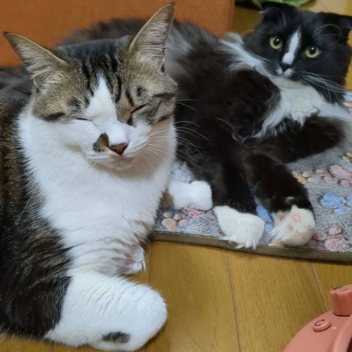 9497f42f a651 47bb ad28 950180d8322d 1679559738941