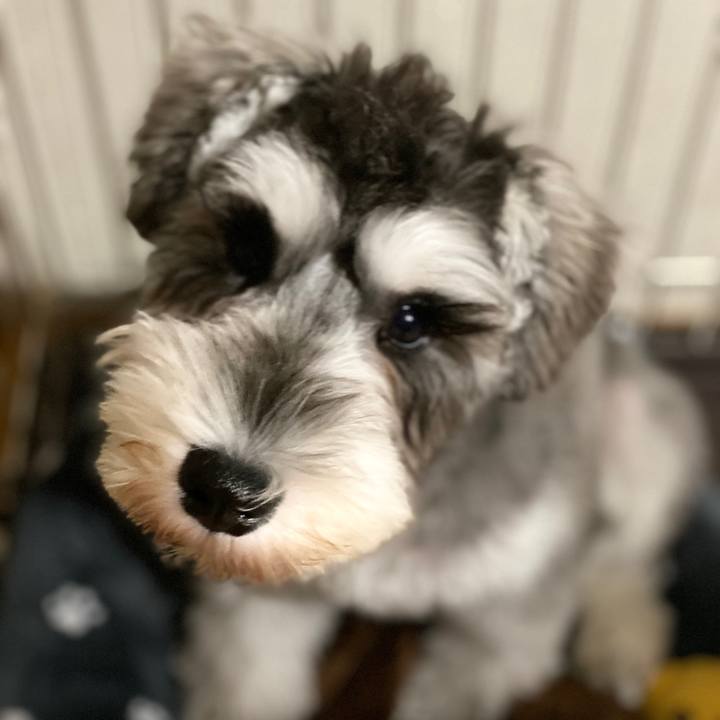 9498038b 5e1e 481f b837 d87a5fb6f1e6 1572538836472