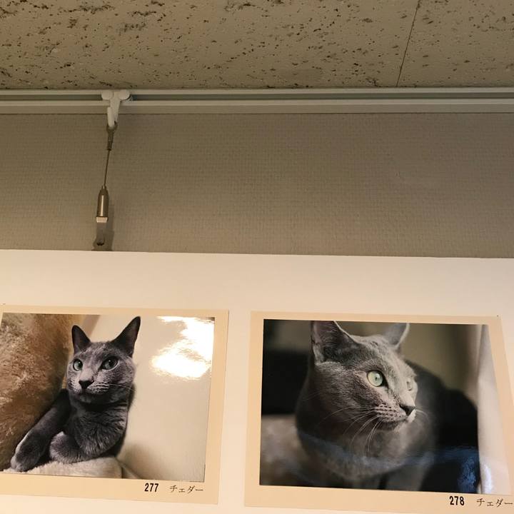 94983019 5e22 4e55 9315 975d71d22fc1 1521726559765