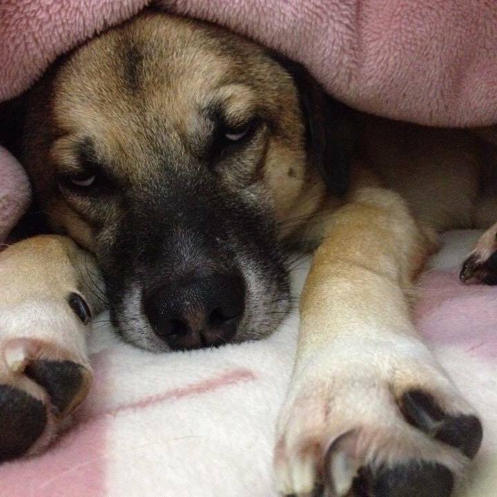 94984930 1e3c 496b 82df 5ef868d8500b 1531751978684