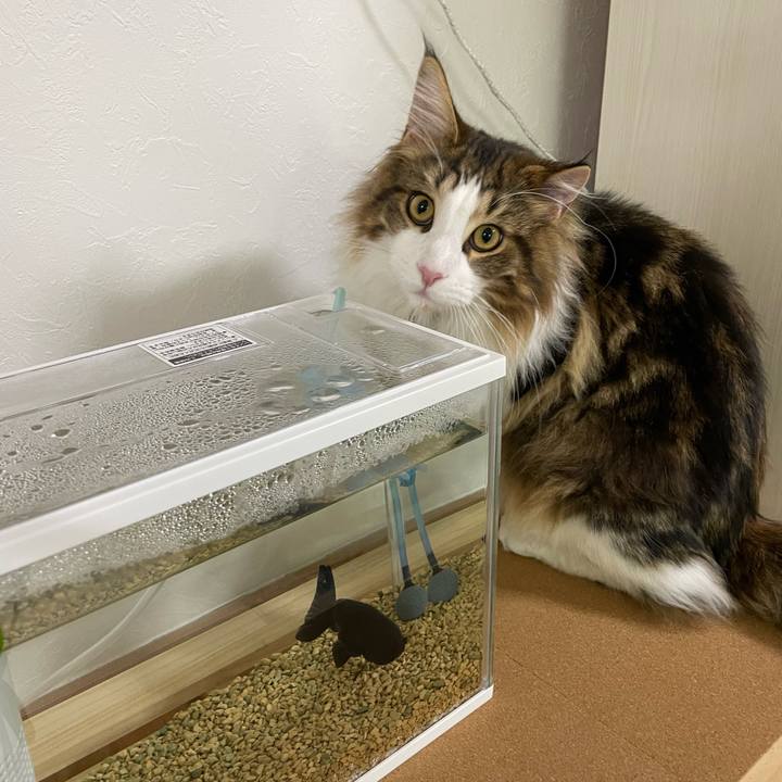 9498ec65 3e52 41d0 a1b1 14f2ec304395 1642715887941