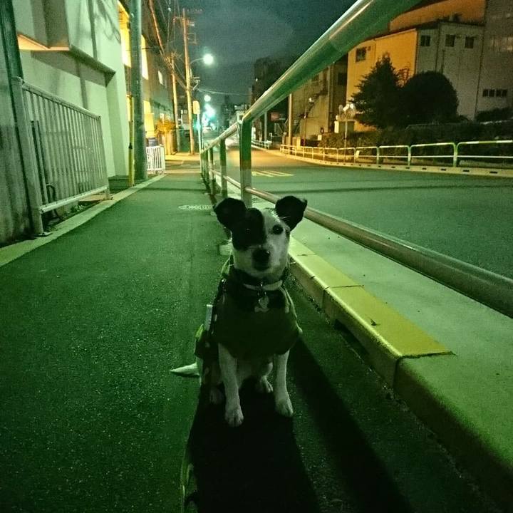 94997c8a bed8 4637 80c4 0870c4e91850 1511186023604