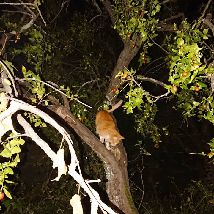 94999cc5 b78b 4f10 ac2d b1ec28e2e715 1601460574494