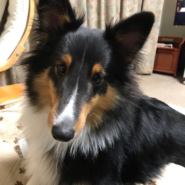 9499a957 6de2 4ca7 93ef c440b4b6f673 1544046952428