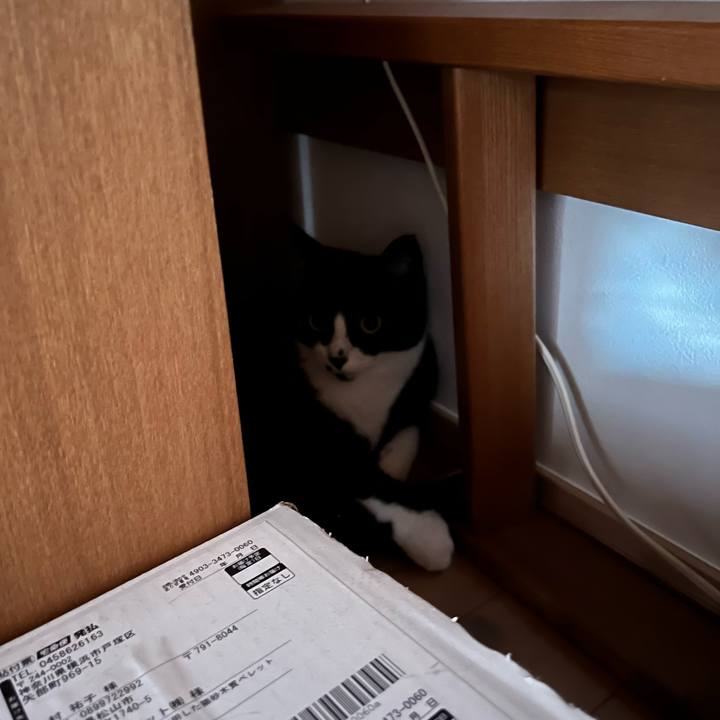 9499aab6 98c1 4c30 a5b0 d710cd55341c 1724036573604