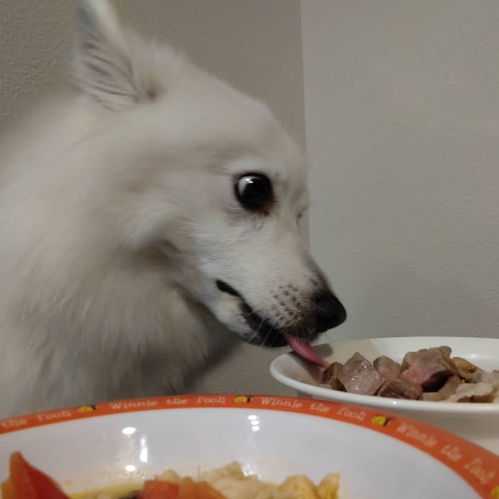 9499b6fc 8ccb 4abd b54f 2c5440a613c1 1630136984905