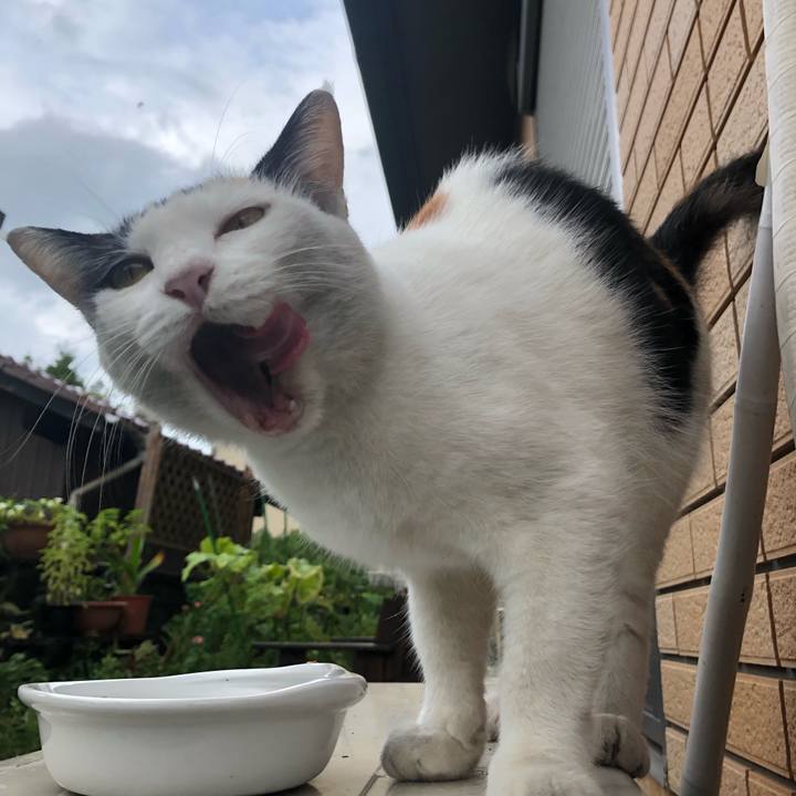 9499f758 a7cf 4576 8e8f 184333de8b50 1628377673633