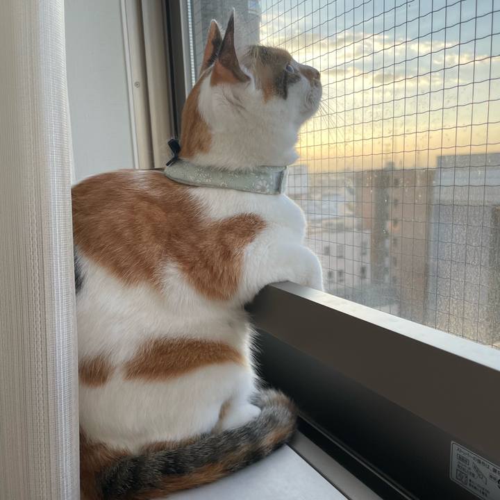 949a79ab d0c1 4b4a 9e58 4b902e62ad8e 1663818120596