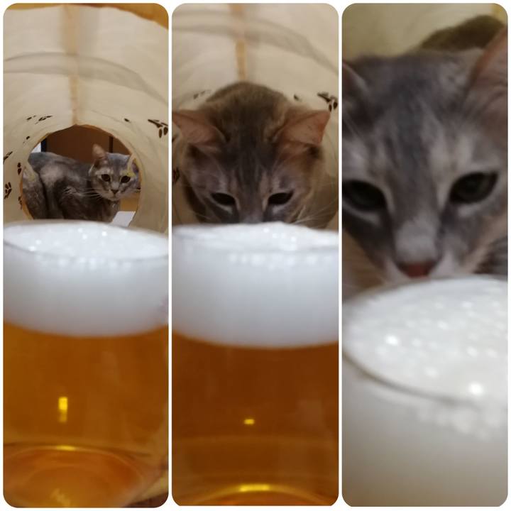 949a7ed7 31f5 479b 99b2 ab42eb984e60 1549631327401