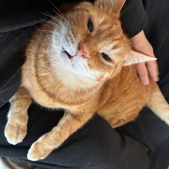 949a83ad 427a 4e0c 94f9 9646bec0a771 1745700081686