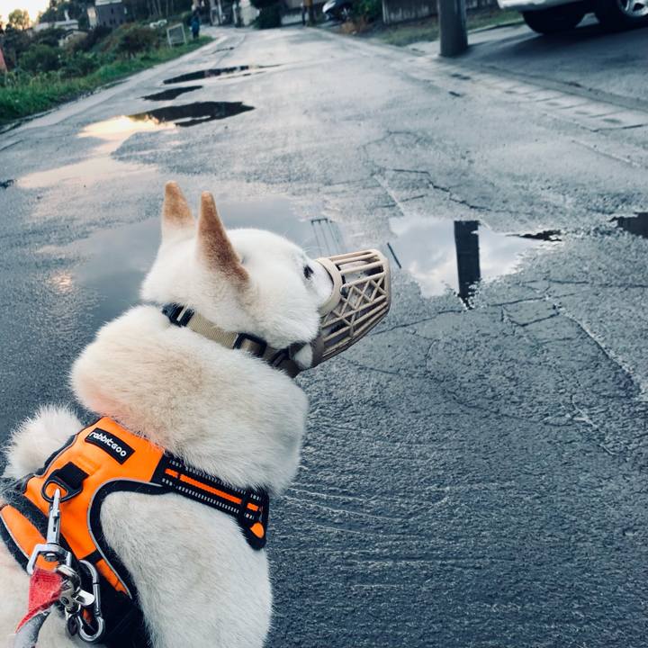 949a85cb cfff 4c0c 8bc9 409fc6cc8cd5 1633298589857