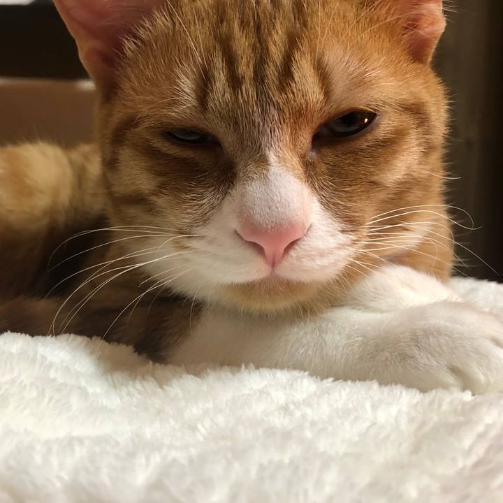 949aa389 5e38 49f7 9ca2 a7a93f4e6f36 1550920276834