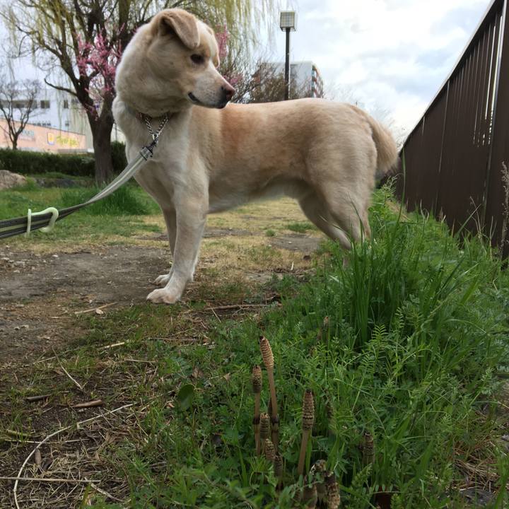 949ac60a 5331 42d4 bdca d5d35c4a3922 1521258253720