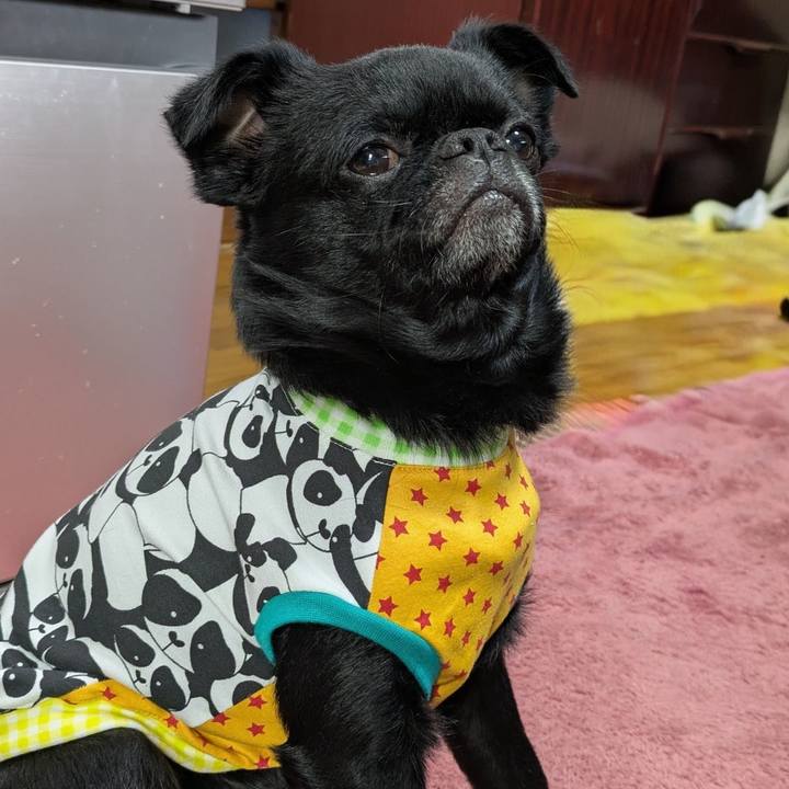 949af71a f991 4793 8639 ce20aea14adc 1770266366376