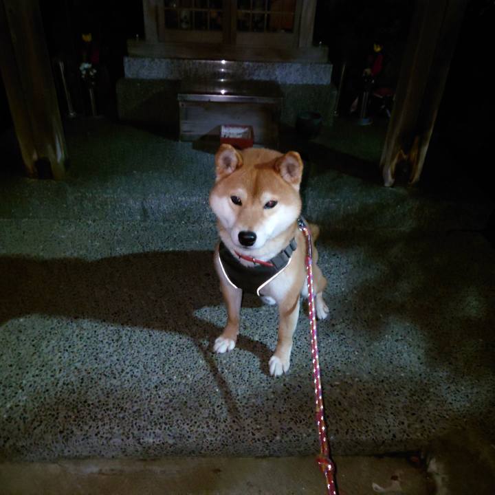 949b0621 ad36 4dfc bef1 4ac7bb99c91f 1766980765860