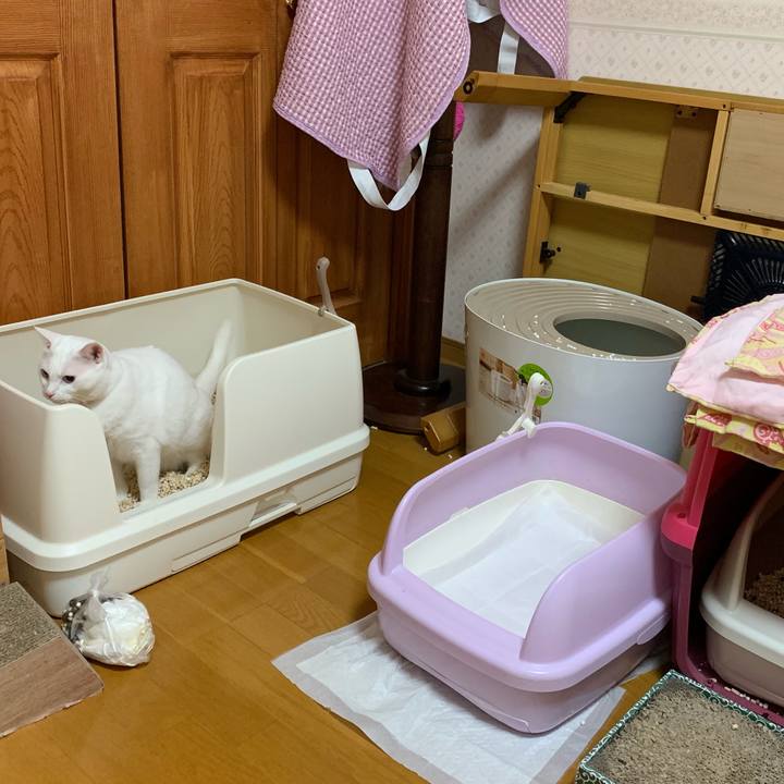 949b2c15 aecd 4e85 add7 8a3344e02fe6 1565453305979