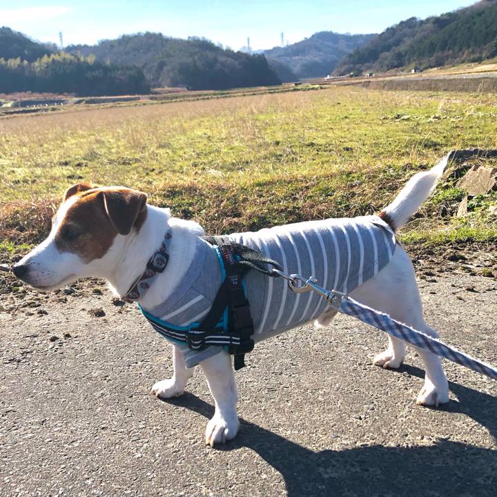 949b3844 5cfc 4f7a afb5 7657142b80ce 1703824490927