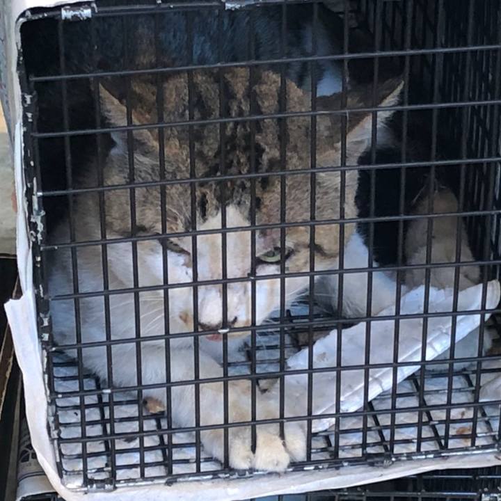 949b3d8d c919 4699 90f6 c9da1703a9d7 1628128418243