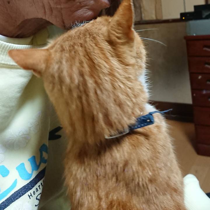 949b55c4 3497 4c6f a888 ad89a5b8b1cb 1604000903864