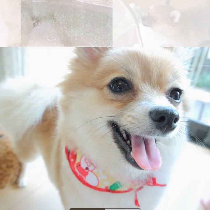 949b72c9 aa29 4f3b 8fee 0ea8b745f859 1518611127533