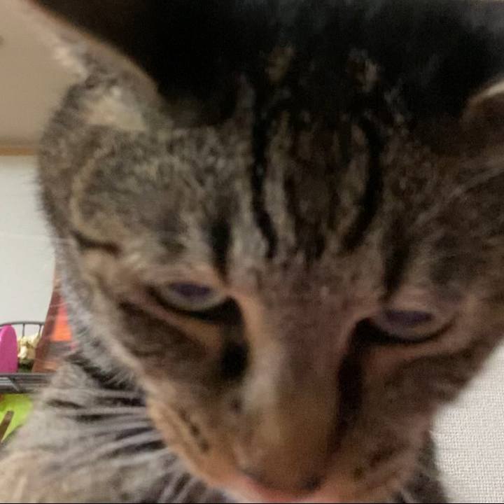 949b7c2f 40eb 4ab2 9e24 0b289a18b762 1626000217005