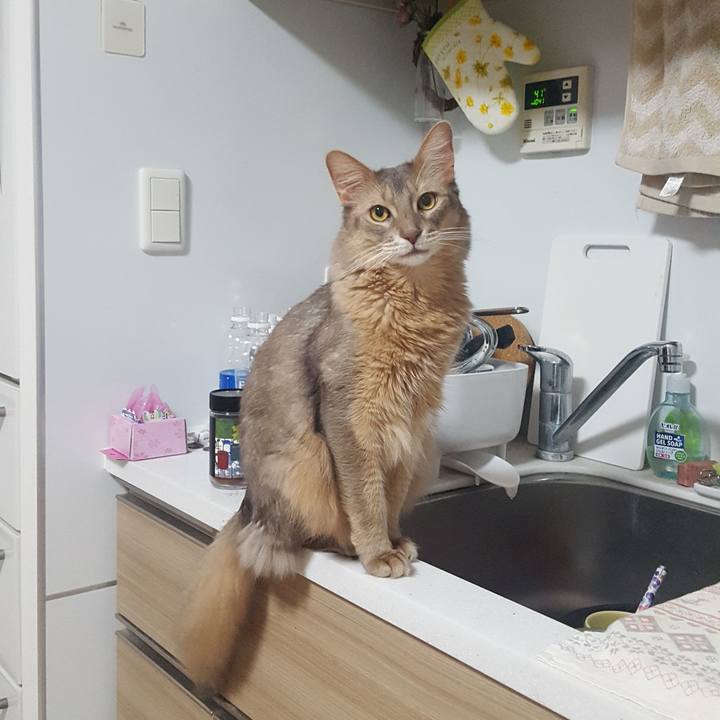 949b8dc9 f97b 4d34 83f5 820c98b874f3 1577107437059