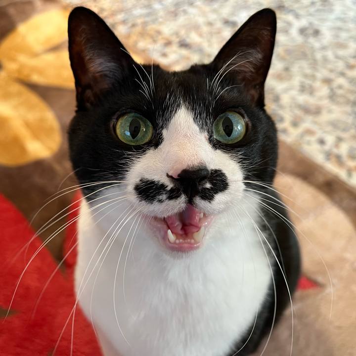 949b9991 5bc9 4d89 b693 f677d5d9d458 1769208085196