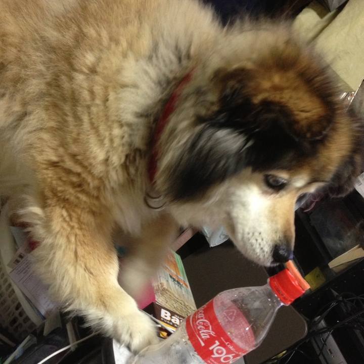 949baa58 3b31 4215 9392 a99d3b7d8f51 1604365679174