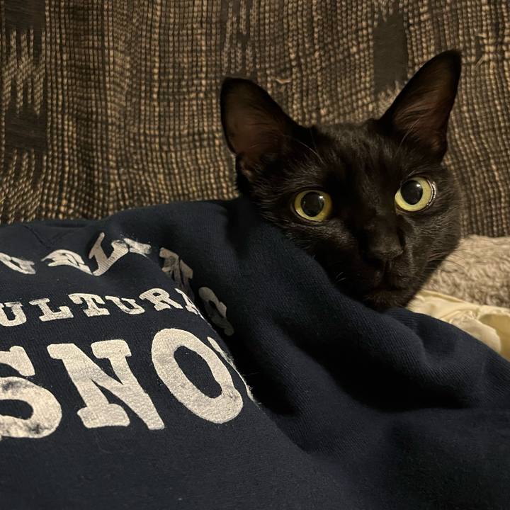 949bac84 d954 4468 be26 b1d7a2b0d2db 1761297453081