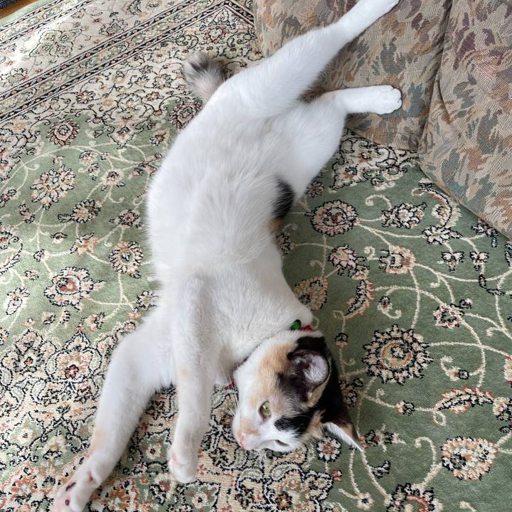 949bb888 e370 439b 92ea 808a3791df8b 1724194806400