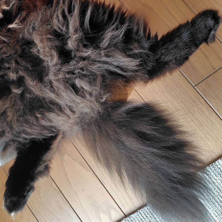 949bbb97 84e9 4d1b 8e07 d82f20198fa5 1749339431335