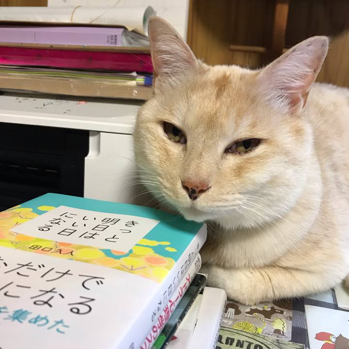 949bd0a7 4560 4f83 b9a3 1a51628df84f 1556368886710