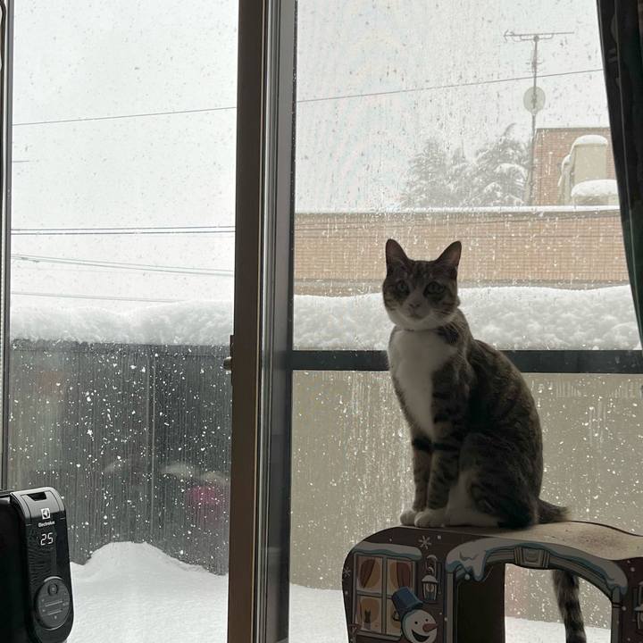 949be1ad 3038 4683 a6bc d1dcf9e881c4 1740035900288