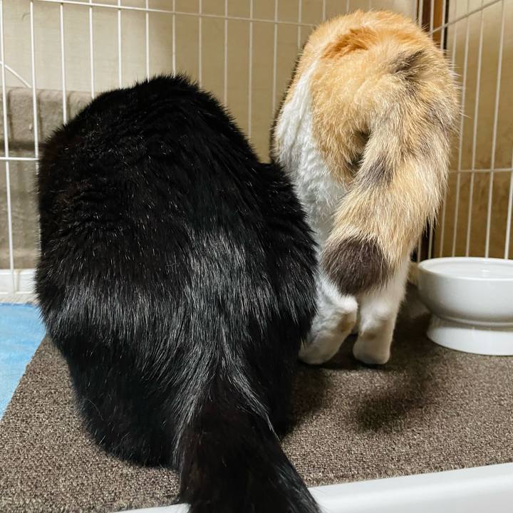 949bf2eb c3ff 4fbb abf7 384b7fc785a2 1668998645724