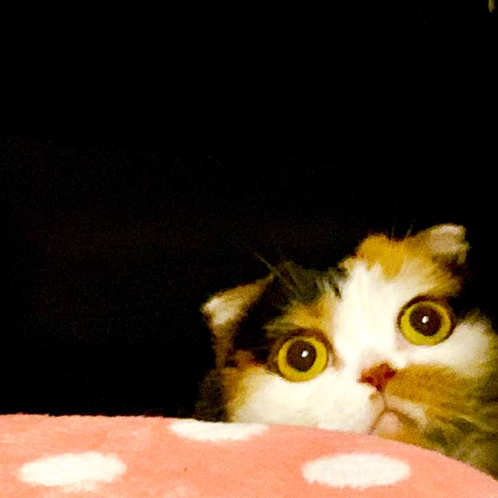 949bf5a2 ed65 4e37 a4e6 0a31b244f7fb 1565354881016